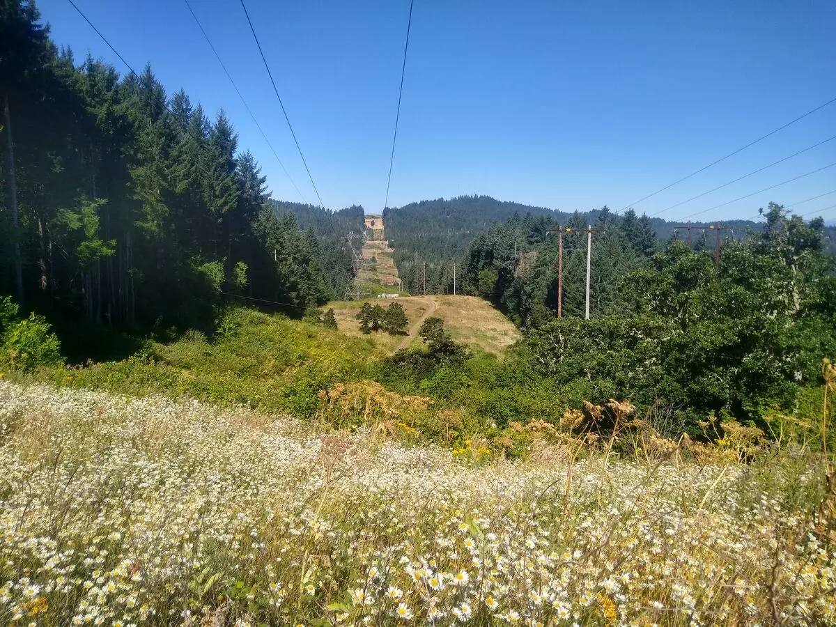 IMG 20230702 095838590 HDR