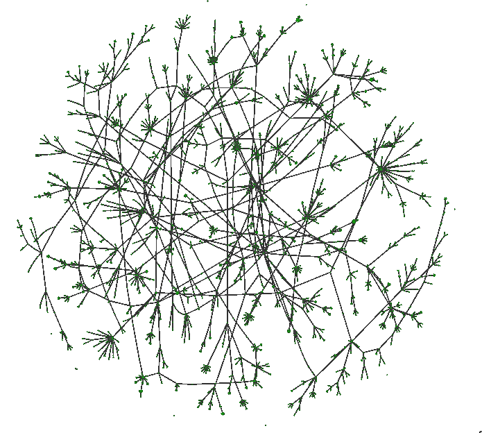 Obsidian graph of taxonomy notes